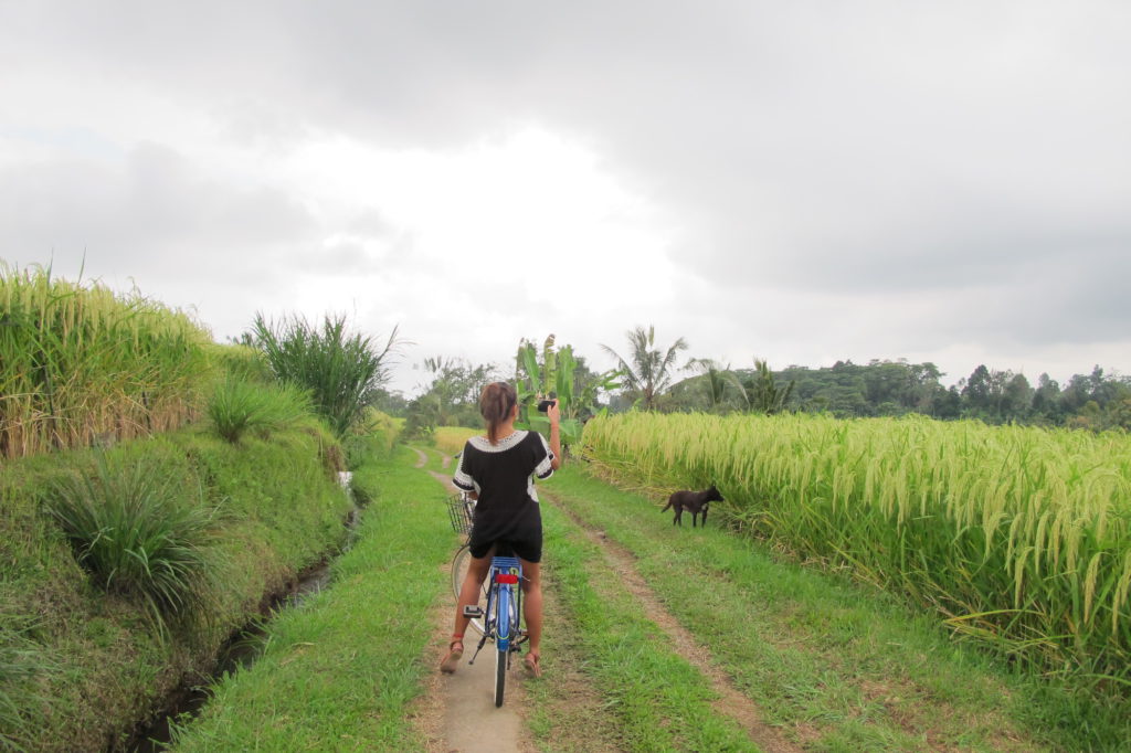 How to navigate Bali as a solo traveller